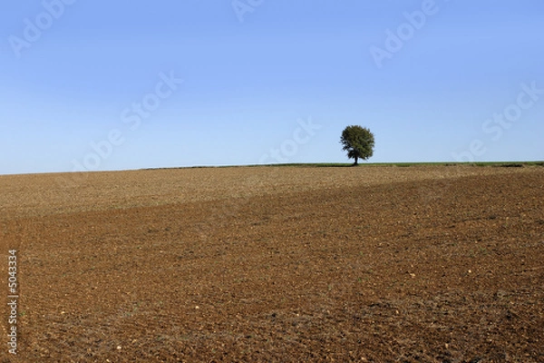 Obraz plowed field