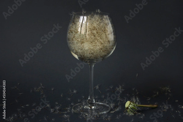 Obraz White dandelion seeds in wine glass on dark background