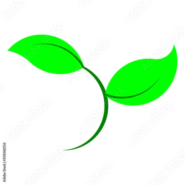 Obraz illustration logo, plant theme that always grows and develops gradually.