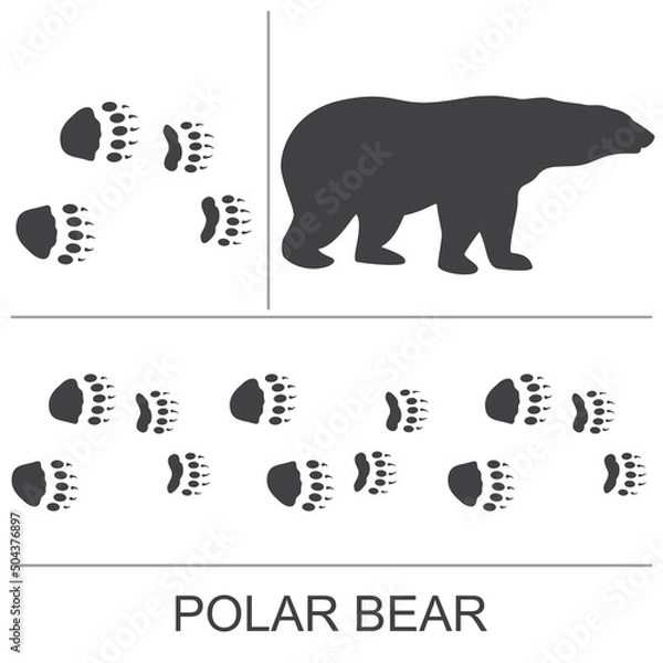 Fototapeta Silhouette of a polar bear and prints of hind and front paws. Vector illustration.