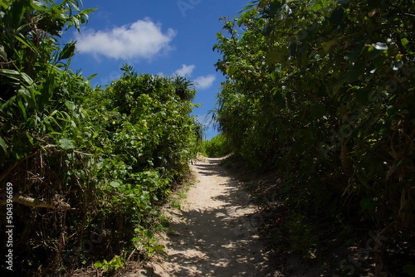 Obraz 宮古島の砂浜ビーチ