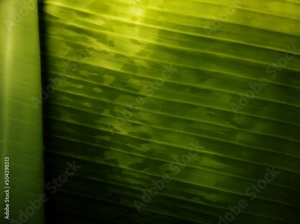 Fototapeta scrape spare