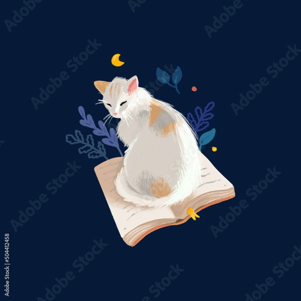 Fototapeta reading at night - isolated cat