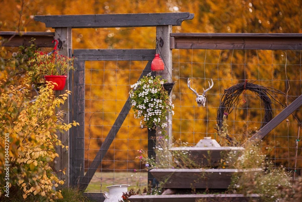 Obraz Fall in the garden