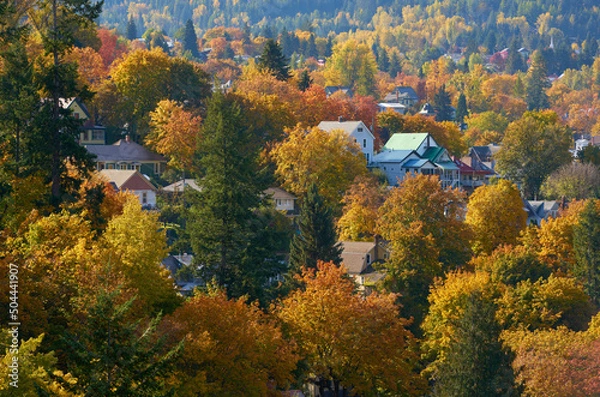 Obraz Nelson BC Residential Autumn Colours. A residential neighbourhood in Nelson located in the Selkirk Mountains on the West Arm of Kootenay Lake in the Southern Interior of British Columbia, Canada.

