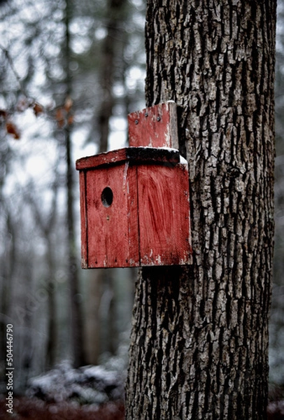 Obraz A homemade bird house provides shelter during the winter to small birds.