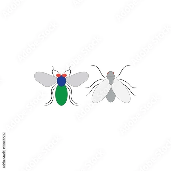 Obraz fly design illustration