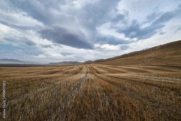 Fototapeta Mowed field on an autumn cloudy day