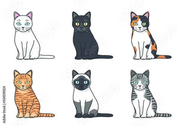 Obraz 色々な模様の猫