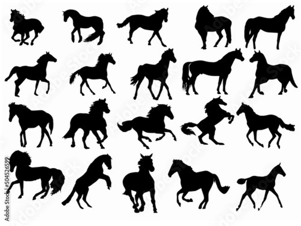 Obraz Horse Vector Art, Icons, and Graphics Vector set bundle of hand drawn horse silhouette isolated on black background for Free EPS
