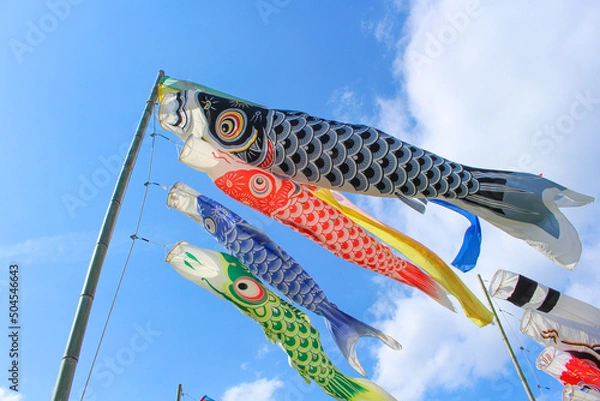 Obraz 晴天の鯉のぼり