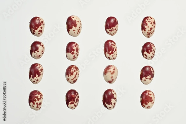 Fototapeta 「紅しぼり」という日本の北海道産の豆です。