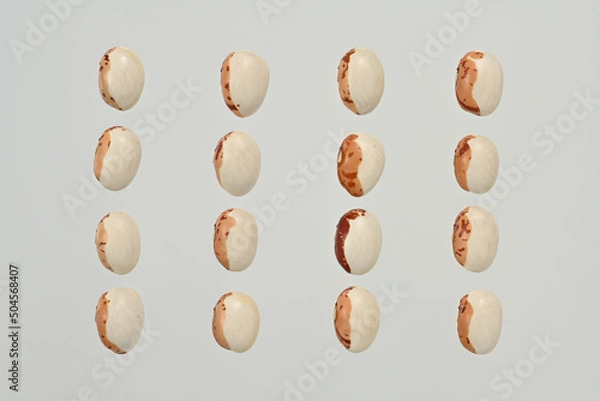 Obraz 「虎豆」という日本の北海道産の豆です。