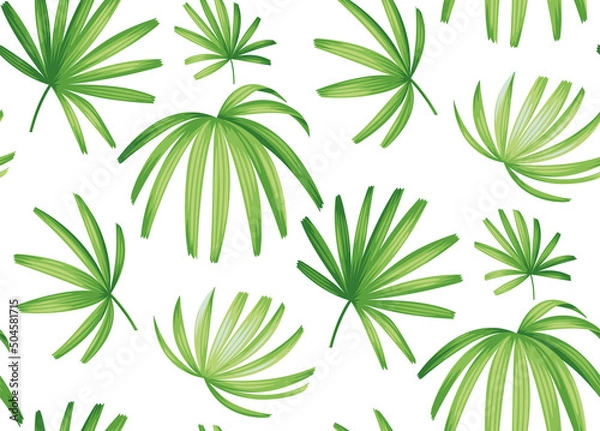 Fototapeta Hawaiian seamless pattern with exotic palm leaves. Tropical plants in realistic style. Foliage design. Vector botanical illustration on a white background.