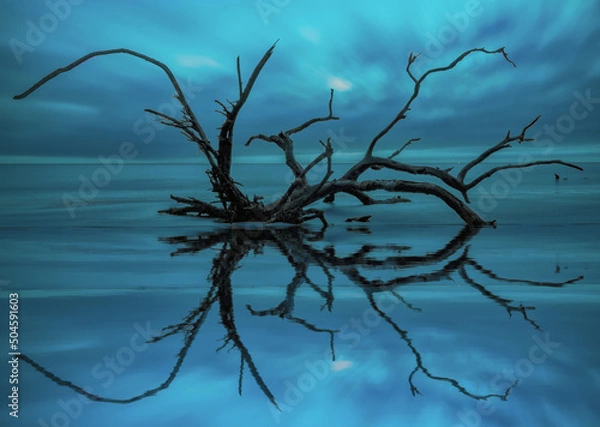 Obraz Jekyll Island, GA Water Reflections