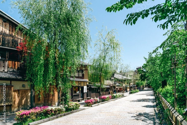 Fototapeta 京都 街並み　白川筋