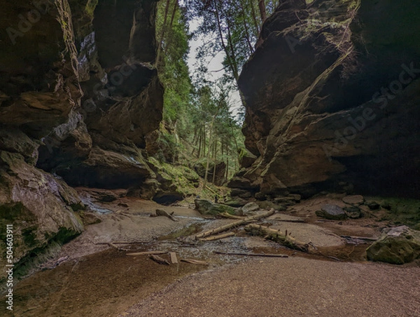 Fototapeta Placid Creek in Rock Hollow