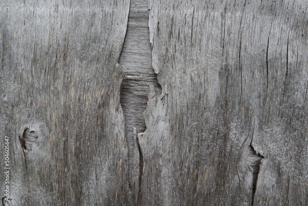 Fototapeta cracked tree background