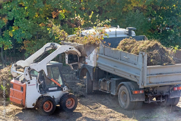 Fototapeta A skid steer loader clears the site for construction. Land work by the territory improvement. Machine for work in confined areas. Small tractor with a bucket for moving soil, turf and bulk materials.