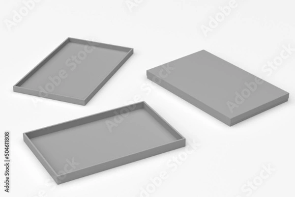 Obraz Low profile packaging box 3d rendering mockup