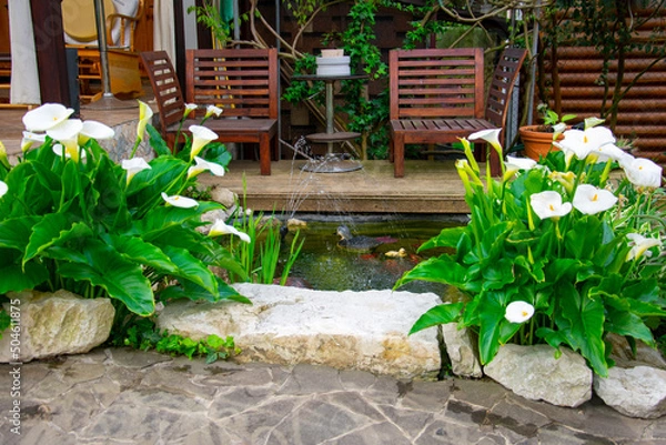 Fototapeta Decorating a small garden artificial pond with goldfish. Plants and stones in the design of the pond