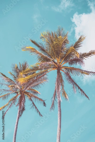 Fototapeta Tropical palm tree with blue sky and cloud abstract background. Summer vacation and nature travel adventure concept.