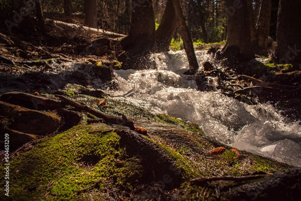 Fototapeta waterfall in the forest