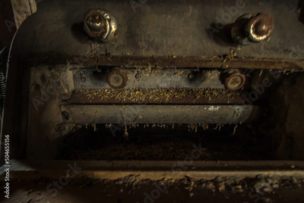 Obraz Lostplace Mühle