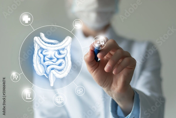 Fototapeta Unrecognizable female doctor holding graphic virtual visualization model of  Intestine organ in hands. Multiple virtual medical icons.