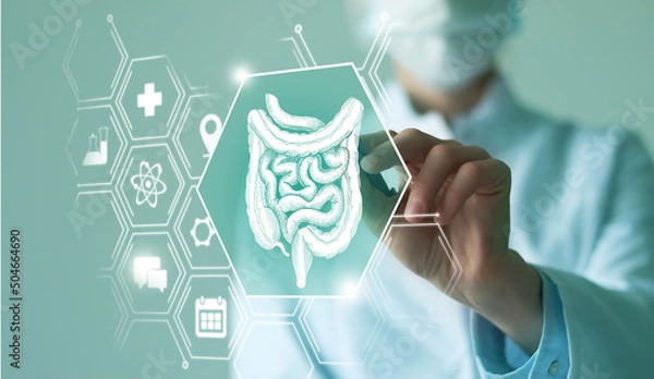 Fototapeta Unrecognizable female doctor holding graphic virtual visualization model of Intestine organ in hands. Multiple virtual medical icons.