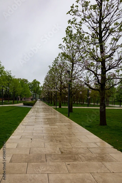 Fototapeta path in the park