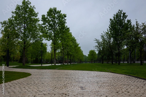 Fototapeta trees in the park