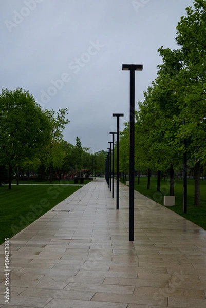 Fototapeta path in the park