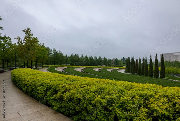 Obraz garden in the park