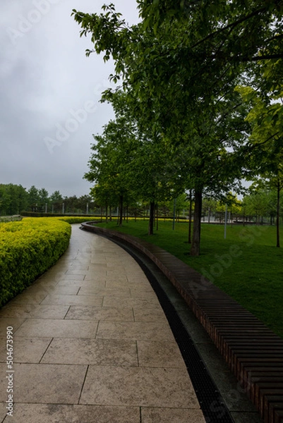 Fototapeta alley in the park