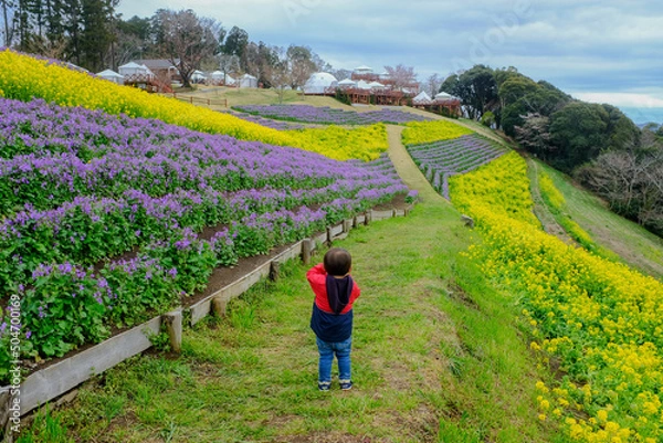 Obraz マザー牧場の景色
