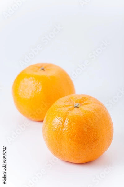 Fototapeta ポンカン　