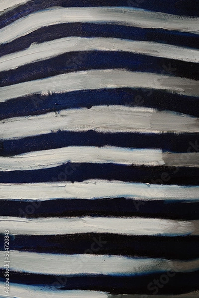 Obraz Rayures blanches