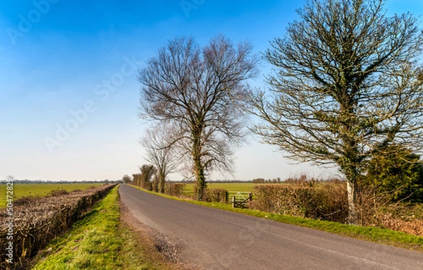 Fototapeta General Countryside view North Somerset, England