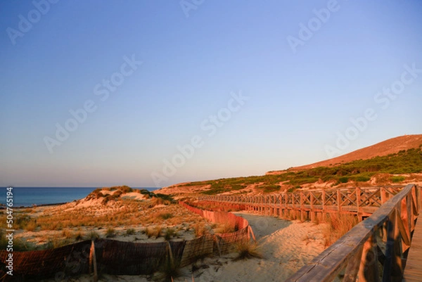 Fototapeta A boardwalk and fences protecting the beautiful dunes landscape of Cala Mesquida, Mallorca-a nature reserve along a hillside pine-tree forest with panorama view to the sea, sunset, evening atmosphere