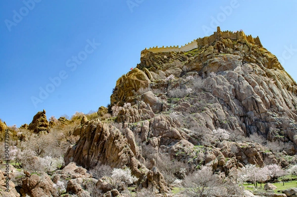 Fototapeta Afyonkarahisar castle on a rock with blossoming cherry trees in spring