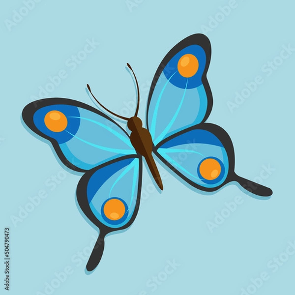 Obraz бабочка