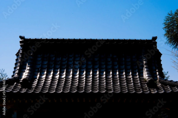 Fototapeta 山門 青空