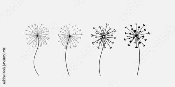 Fototapeta Hand drawn set of black dandelion, dandelion with flying seeds in cute doodle style. Vector illustration for fabric, card design, print, stamp or baby clothings.