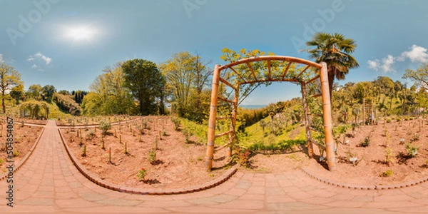 Fototapeta Botanical garden Georgia Batumi blue sky trees spring with 3D spherical panorama with 360 degree viewing angle Ready for virtual reality in vr Full equirectangular projection Beautiful background