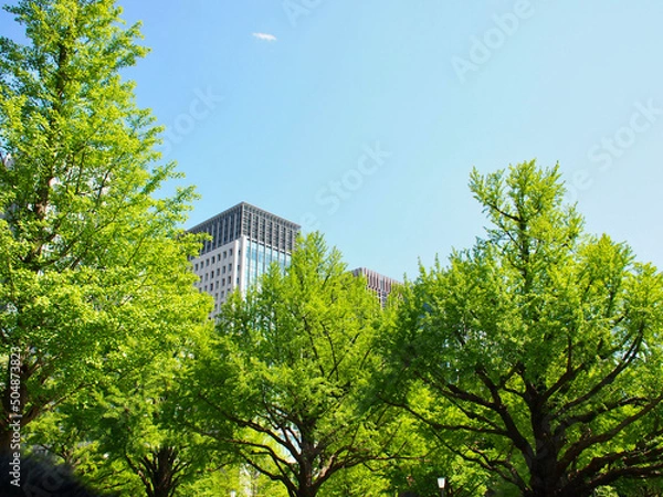 Obraz 新緑から覗く高層ビル