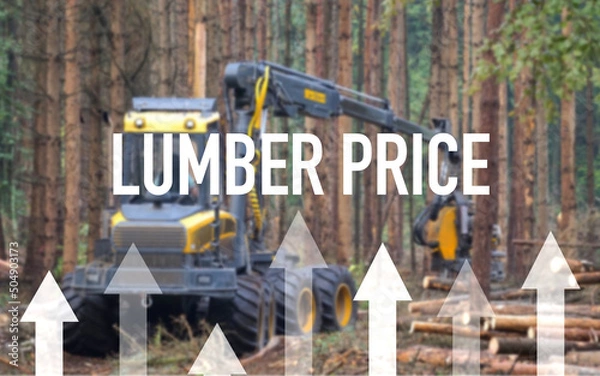 Fototapeta Rising wood prices, wood course, in the background a harvester which cuts down trees in a forest, forestry, economy, raw materials, lack of raw materials, economy, wood price development