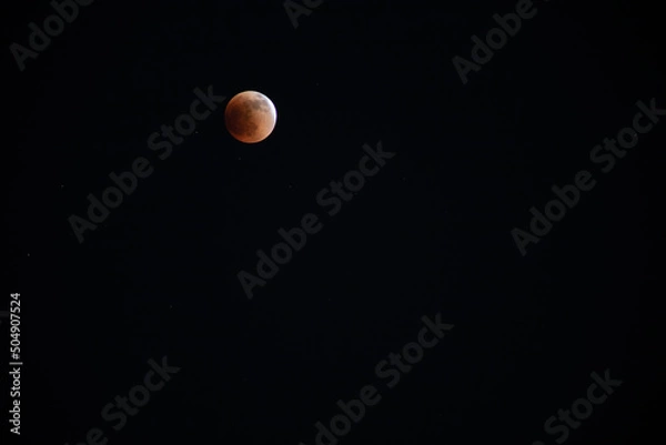 Obraz Blood moon lunar eclipse