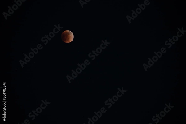 Obraz Blood moon lunar eclipse