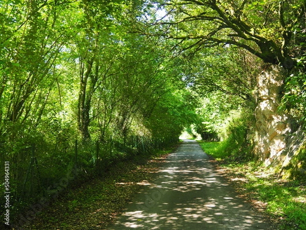 Fototapeta La senda del Oso, es una vía verde de Asturias. España.
